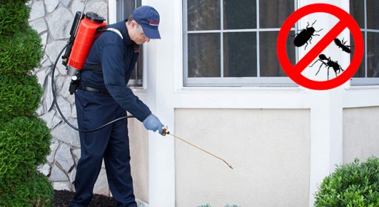Aladağ Hamam Böceği İlaçlama böcek ilaçlama ve haşere kontrolü — ilaclama-tr.com